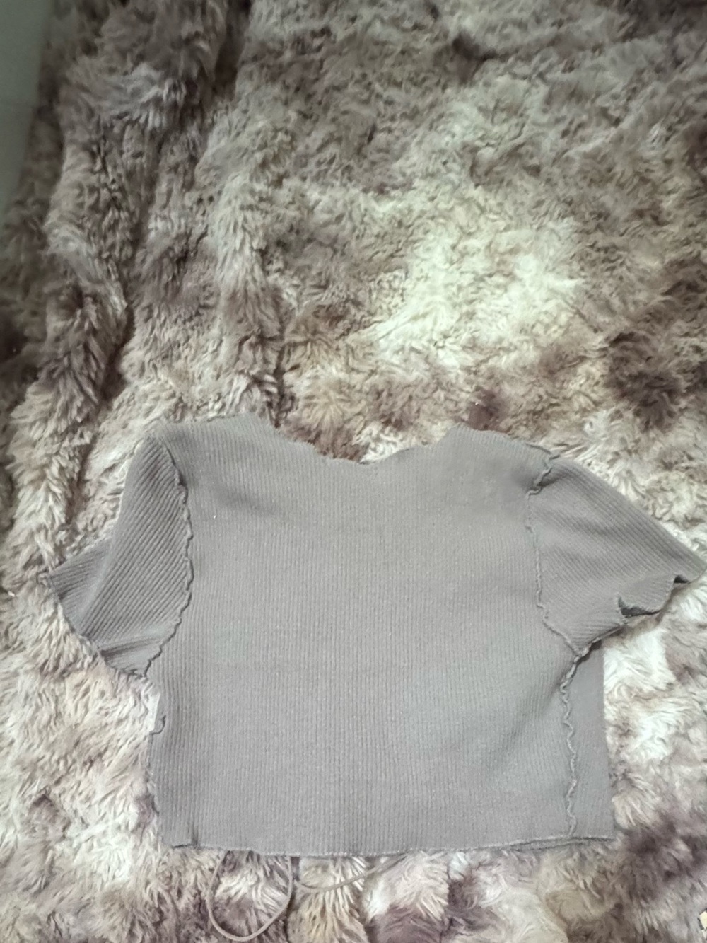 Active USA Ribbed Short Sleeve Crop Top in Light Gray